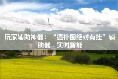 玩家辅助神器：“德扑圈绝对有挂	”辅助器 - 实时智能