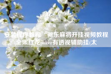 安装程序教程“微乐麻将开挂视频教程全集红龙poker有透视辅助挂(太