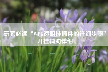 玩家必读“WPK透明挂插件的详细步骤”开挂辅助详细