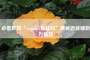必看教程“wepoker有挂吗”揭秘透视辅助万能挂
