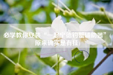 必学教你安装“一起宁德钓蟹辅助器”(原来确实是有挂)