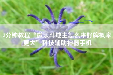 3分钟教程“微乐斗地主怎么来好牌概率更大	”科技辅助神器手机