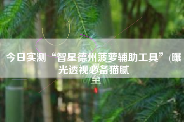 今日实测“智星德州菠萝辅助工具”(曝光透视必备猫腻