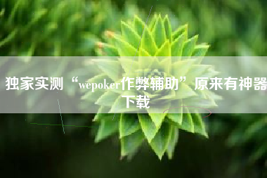 独家实测“wepoker作弊辅助”原来有神器下载