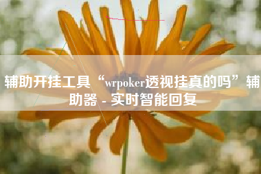 辅助开挂工具“wrpoker透视挂真的吗”辅助器 - 实时智能回复
