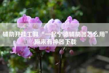 辅助开挂工具“一起宁德辅助器怎么用”原来有神器下载