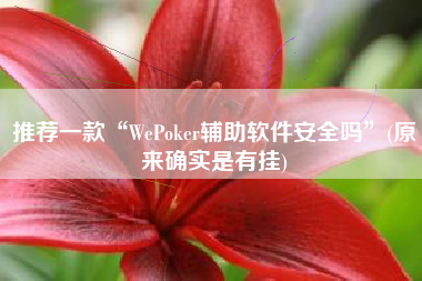 推荐一款“WePoker辅助软件安全吗”(原来确实是有挂)
