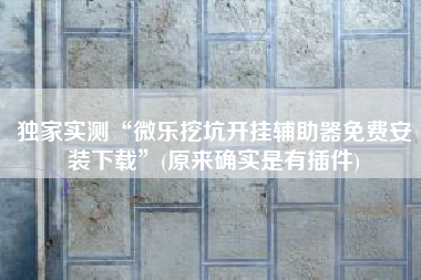 独家实测“微乐挖坑开挂辅助器免费安装下载”(原来确实是有插件)