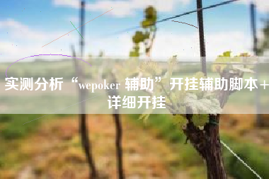 实测分析“wepoker 辅助	”开挂辅助脚本+详细开挂